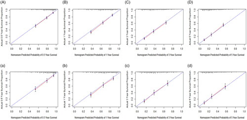 Figure 3. Calibration curves of the training set and the testing set. (A, B, C, D) Calibration curves that are created in the light of the training set sample compare predicted and actual survival proportions at (A) 0.5-year, (B) 1-year, (C) 3-year and (D) 5-year, separately. (a, b, c, d) Calibration curves that are created in the light of the testing set sample compare predicted and actual survival proportions at (a) 0.5-year, (b) 1-year, (c) 3-year and (d) 5-year, separately.