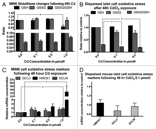 Figure 5. Oxidative stress and oxidative stress markers following exposure to CdCl2 for 48 h: GSH, GSSG (both normalized to the non-exposed control) and GSSG/GSH ratio in MIN6 cells (A, n = 4, each in triplicate) and dispersed primary mouse islet cells (B, n = 3, each in triplicate). mRNA levels of the oxidative response genes GCLC, HMOX1 and GCLM in MIN6 cells (C, n = 4) and in dispersed primary mouse islets (n = 4). *, p < 0.05 using Student’s t-test with Bonferroni correction.