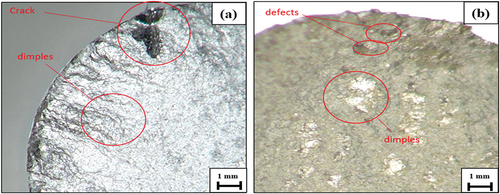 Figure 5. Microstructural damages after fatigue at high stress (60% UTS) of (a) ALS & (b) ALST.
