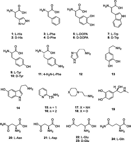 Figure 1. Amino acids and amines 1–24 investigated as CAAs in the present article.