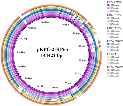 Figure 1 Circular comparison between the blaKPC-2-carrying plasmid pKPC-2-KP65 and similar plasmids. p283747-KPC: K pneumoniae strain 283747 plasmid p283747-KPC, accession no. MF168406, size 148,021 bp. p283149-KPC: K pneumoniae strain 283149 plasmid p283149-KPC, accession no. MK036886, size 136,186 bp. pKPC2_09508: K. pneumoniae strain WCHKP2080 plasmid pKPC2_095080, accession no. CP036362, size 120,195 bp. p3_L382: K pneumoniae strain L482 plasmid p3_L382, accession no. CP033962, size 136,159 bp. pKPC2_020098: K. pneumoniae strain WCHKP020098 plasmid pKPC2_020098, accession no. CP036306, size 149,519 bp.