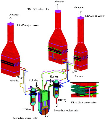 Figure 5. Computational model of the three-dimensional fluid analysis.