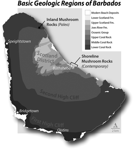 Figure 11. Map representing the main geologic divisions with mushroom rock locations on Barbados. An uplifted accretionary prism of turbidite, (mostly coral) limestone, and various sandstones, resulted in four main regions: current beaches/coasts (dated to ~82,000 ya), first high-cliff (dated to ~125,000 ya), the second high cliff (~640,000 ya at Mt. Hillaby), and the Scotland District (mixed rocks of mixed ages, mostly non-limestone groups, basement rocks formed in deep ocean ~44 mya), see Schellmann and Radtke (Citation2004), Schellmann et al. (Citation2004), Radtke and Schellmann (Citation2005), and Radtke and Schellmann (Citation2006), and Limonta et al. (Citation2015). Map by K.M. Groom.