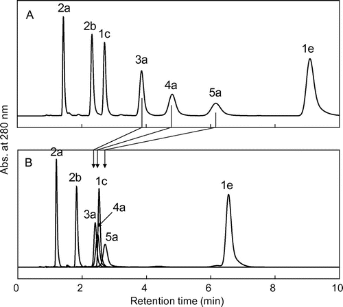 Fig. 5. Comparison of C8-HPLC profiles of EC oligomers and related flavan-3-ol standards in different mobile phases.