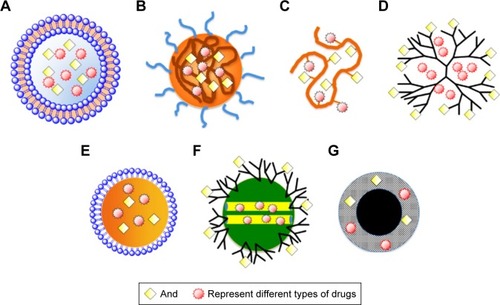 Figure 3 Nanoscale drug carriers used as theranostic polymer agents for cancer management.Notes: (A) Liposomes, (B) polymeric micelles, (C) polymer–drug conjugate, (D) dendrimer, (E) nanoemulsion, (F) mesoporous silica nanoparticles, and (G) iron oxide nanoparticles. Reprinted from Biochem Pharmacol, 83, Hu CM, Zhang L, Nanoparticle-based combination therapy toward overcoming drug resistance in cancer, 1104–1111.Citation11 Copyright 2012, with permission from Elsevier.