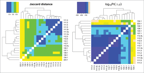 Figure 4. Jaccard distances and log base 10 of statistical significances of Spearman correlations between all samples analyzed in this study. Pairwise comparisons that have darker shades of purple have more HCP overlap (as seen in the Jaccard distance heat map) and are more significantly correlated with respect to individual protein abundances (as seen in the log10Pr(≥ρ) heat map); those that are more peach-colored, have less overlap and are less correlated, respectively.