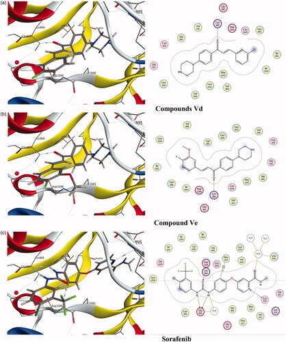 Figure 5. Docking of compounds Vd, Ve and the reference ligand Sorafenib into VEGFR active sites. (a) Compounds Vd. (b) Compound Ve. (c) Sorafenib.