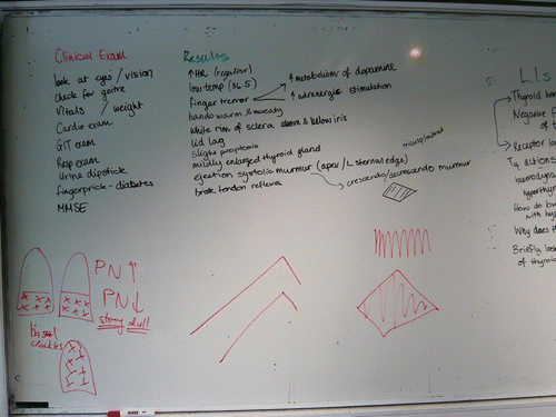 Figure 4. Whiteboard in a clinical skills tutorial room, with extra drawings of heart murmurs and lung sounds in red made by clinical tutor during interview with Anna (photo: Anna Harris).
