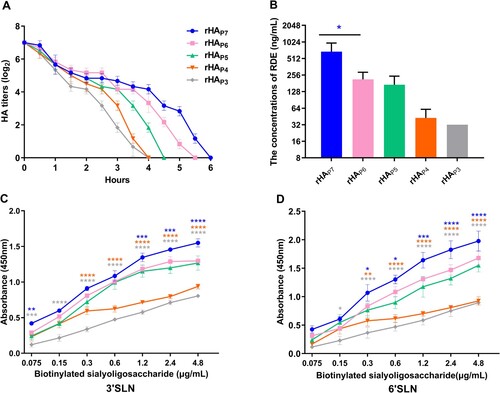 Figure 4. The receptor affinity of five virus mutants with different HA glycosylation patterns. (A) Twofold dilutions of 128 HAU of each virus were incubated at 4°C for 1 h with an equal volume of 0.5% chicken RBC. The samples were then transferred to 33°C, and the hemagglutination titres were measured at different time points. (B) 1% chicken RBCs were treated with twofold dilutions of RDE for 1 h, followed by an ice bath with an equal volume of 4 HAU virus for 45 min. The highest dilution of RDE that caused complete agglutination of RBCs was recorded. Each virus was incubated with 3′SLN (C) or 6′SLN (D) receptors to determine the receptor preference of HA. The significance of difference was analyzed by a Two-Way ANOVA test in GraphPad Prism 8.0.1 software. Each data point represents the mean ± SD of three independent experiments.