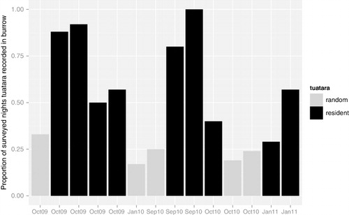 Figure 1 The proportion of nights during the study period that burrows classed with a resident tuatara and those with random visits by tuatara were recorded as having a tuatara present.