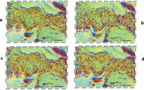 Figure 9. Extracted fault lines from multidirectional cardiant linear anomalies of global free air surfaces anomalies DTU10, (DTU10GRA_1 min)