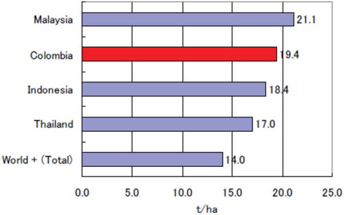 Figure 4. Average yield of oil palm production. Source: (Ministry of Mines and Energy & Inter-American Development Bank, 2010)