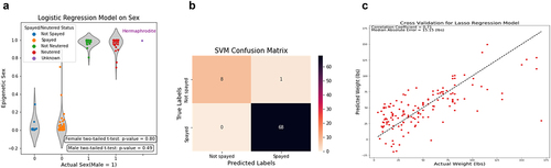 Figure 2. Epigenetics of sex, weight and spayed status. (a) Predicted sex values (labelled as Epigenetic Sex on the y-axis) were coloured based on the sample’s sterilization status into five categories: blue for not spayed, Orange for spayed, green for not neutered, red for neutered, and purple for missing values. A two-tailed t-test was performed separately for each sex, on the predicted values of fixed and intact samples. The hermaphrodite (intersex) wolf was not included in the t-tests. (b) The confusion matrix displays the number of correctly and incorrectly predicted spayed status for the female samples during the LOOCV process. The rows are the true sterilization status, while the columns are the predicted sterilization status by the SVM model. (c) The lasso model from sklearn is used to predict the weight of dogs.