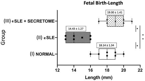 Figure 3. Effect of hUC-MSC secretome prevents fetal growth restriction as seen on birth weight. *Significant; **not significant.