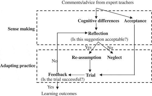 Figure 2. The learning model in novice–expert interaction