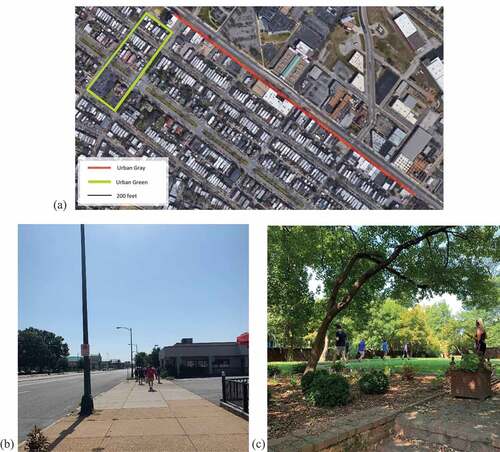 Figure 1. (a) Walking route map for both urban gray and urban green walks. Examples of urban gray and urban green walks shown in panels (b) and (c), respectively.
