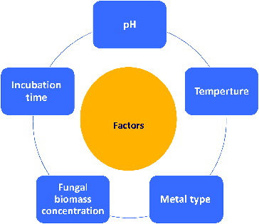 Figure 3. Top five factors that effect on synthesis of metallic NPs by fungal species.