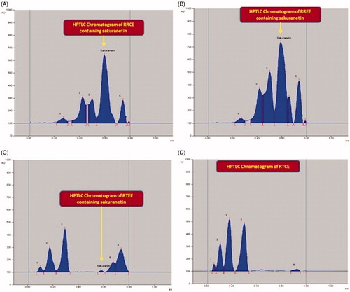 Figure 8. Chromatogram of sakuranetin estimation in the extracts of Rhus spp. at 292 nm [mobile phase: Toluene: EA: Methanol, (8:2:0.2, v/v/v)]. (A) R. retinorhoea chloroform extract (RRCE; spot 4, Rf = 0.59); (B) R. retinorhoea ethanol extract (RREE; spot 4, Rf = 0.59); (C) R. tripartita ethanol extract (RTEE; spot 4, Rf = 0.59); (D) R. tripartita chloroform extract (RTCE; Sakuranetin is absent).