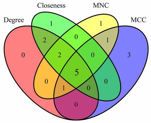Figure 7. Venn diagram of hub genes identification