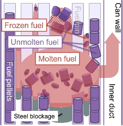 Figure 1. Schematic view of a core fuel subassembly during CDAs.