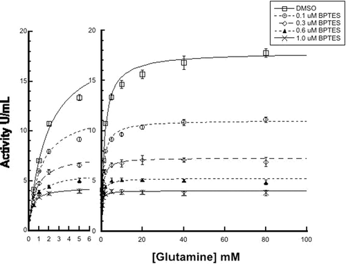 Figure 1.  BPTES inhibition of hGA124–551 with respect to glutamine. Glutamine saturation profiles were produced in the presence of 30 mM phosphate and increasing concentrations of BPTES. The measured activity was plotted against the concentration of glutamine. The data are plotted using KaleidaGraph software and fit to the Michaelis–Menten equation using a non-linear regression. Data are the mean ± standard error of five replicates.