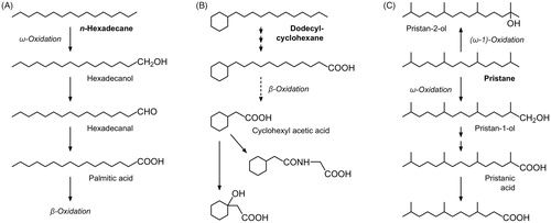 Figure 5. Metabolic pathways of n-alkanes (A), cycloalkanes (B), and branched alkanes (C) in mammals.