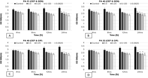 Figure 6 Shown are the effects of sub-minimal concentrations of different combinations of antibiotics on biofilms of four different isolates. (A) PA21, CEF+GEN, (B) PA40, CEF+GEN, (C) PA40, CEF+CIP, (D) PA22, CEF+CIP, at four different time points (OD 540 nm). Bar graph shows reduction in biofilm formation up to 24 h of incubation as compared to the control samples. Error bars represent S.D. *p ≤ 0.05, **p ≤ 0.05, and ***p ≤ 0.005.