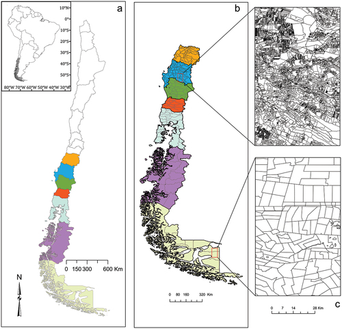 Figure 1. (a) Study area within Chile, the inset indicates Chile’s location within the South American continent; (b) the seven administrative regions and its 178 municipalities, where each color represents an administrative region; and (c) example of property distribution in two contrasting locations.Footnote1