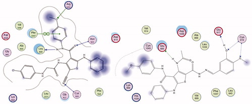 Figure 10. Docking poses displaying 2D interactions of compounds 5 (left) and 21 (right) with VEGFR-2 active site.