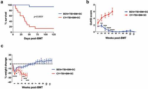 Figure 1. BEN-TBI conditioning improves survival and decreases morbidity from GvHD. BALB/c recipient mice received 40 mg/kg BEN iv or 200 mg/kg CY ip on day −2, 400 cGy TBI on day −1, and 107 BM with 3 × 106 SC from naïve C57BL/6 mice on day 0. (a) Survival is shown. Pooled data from 3 experiments are shown, n = 15 mice/group, p < .0001. (b) Average weekly GvHD score with SEM is shown. Representative data from 3 experiments is shown, n = 5 mice/group. (c) Average % weight change from starting weight with SEM is shown. Representative data from 3 experiments is shown, n = 5 mice/group. * p < .05, ** p < .01, *** p < .001, **** p < .0001.