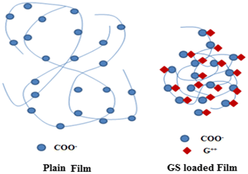 Figure 10. Effect of presence of cationic drug GS on the chain relaxation of casein chains.