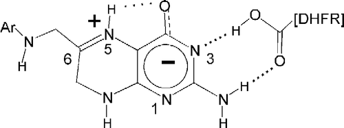 Figure 7 Dihydrofolate reductase may utilize a zwitterionic tautomer of dihydrofolate.