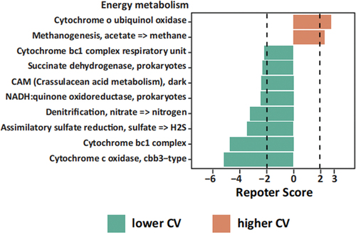 Figure 5. Energy metabolism of oral microbiota by PICRUSt2 analysis among lower CV group and higher CV group. Green, lower CV group; orange, higher CV group. Dashed lines indicate reporter score of ± 1.96, corresponding to 95% confidence in a normal distribution.
