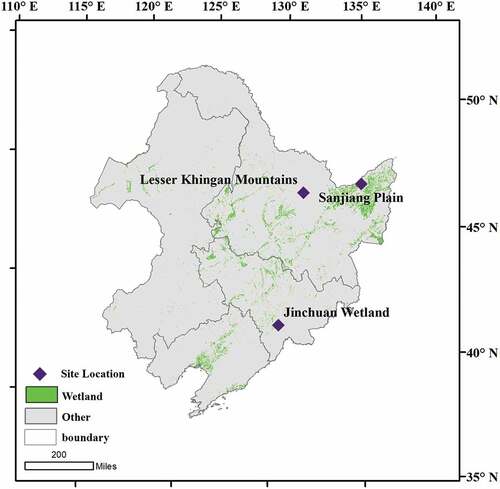 Figure 1. Site location map of the study area; purples diamonds are the sites for model simulations with the background as wetland distribution in northeastern China.