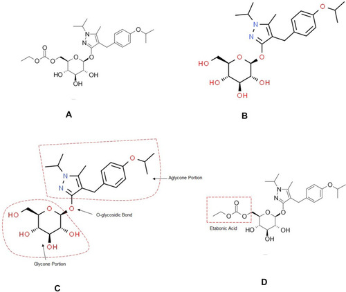 Figure 2 Chemical structure of remogliflozin etabonate and remogliflozin. (A) Chemical structure of remogliflozin etabonate. (B) Chemical structure of remogliflozin. (C) Portions of structure of remogliflozin showing glycone, aglycone portions and O-glycosidic bond. The O-glycosidic bond makes the drug susceptible to beta-glucosidase enzyme. (D) Remogliflozin is esterified with etabonic acid to overcome metabolism by beta-glucosidase enzyme.