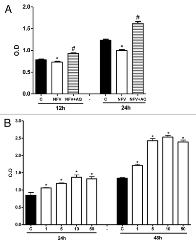 Figure 2. (A) Protective effect of supplementation with 10mM of alanyl-glutamine (AQ) on IEC-6 cell proliferation following 1h of exposure to nelfinavir (NFV) at 70μg/mL . (B) Effect of 1, 5, 10 and 50mM of AQ supplementation on IEC-6 cell proliferation, evaluated with a colorimetric assay by detecting absorbance using an ELISA microplate-reader at 450 nm. After 24 and 48 h, wells were incubated for 4 h with 10 μL of tetrazolium salt and the absorbance was measured. After 24 and 48 h, wells were incubated for 4 h with 10 μL of tetrazolium salt and the absorbance was measured. Values are expressed as mean ± standard error. *p < 0.05, compared with control group with media without glutamine, by student’s unpaired t test. #p < 0.05, compared with group with NFV, by student’s unpaired t-test.