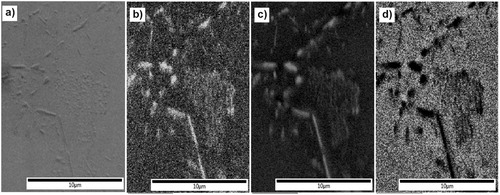 Figure 4. EDS compositional map for identifying chromium-rich carbides, (a) SEM image, (b) C Kα1, (c) Cr Kα1 and (d) Fe Kα1. Scale bar is 10 μm. The brighter area shows higher element contents in b, c and d.