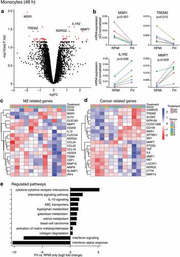 Figure 4. Transcriptome analysis of FH-stimulated monocytes