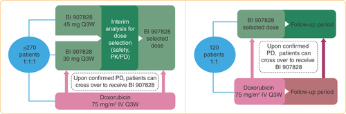 Figure 2. Brightline-1 trial design.Patients may continue treatment with doxorubicin for up to six cycles (maximum cumulative dose of 450 mg/m2); patients randomized to the doxorubicin arm will be eligible to cross-over to receive BI 907828 following confirmed progressive disease and if eligibility criteria are met.IV: Intravenous; PD: Pharmacodynamic; PFS: Progression-free survival; PK: Pharmacokinetic; Q3W: Every 3 weeks.