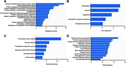 Figure 7 GO and KEGG analysis of targets. (A) Biological process. (B) Cell Component. (C) Molecular function. (D) KEGG pathway. The y-axis shows significantly enriched categories of the targets and the x-axis shows the enrichment scores of these terms (p<0.01).