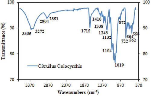 Figure 2. FT-IR spectrum of powdered Citrullus colocynthis leaves.