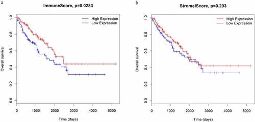 Figure 1. The associations between immune scores (a) and stromal scores (b) and overall survival in STS patients