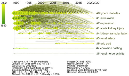 Figure 6. Timeline and clustering view of keywords from selected publications on renal microcirculation. Cluster terms are displayed on the right and arranged in descending order of cluster size. Nodes (papers) are organized horizontally based on their publication year, and links are color-coded according to the year when the link between two nodes (keywords) was first established.