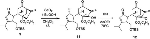 Scheme 2 Synthesis of compounds 11 and 12.