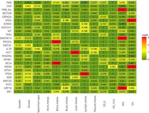 Figure 4 The correlation between mutant gene and clinicopathological data including gender, smoking, specimen origins, metastasis site, and progression free survival and overall survival. Red indicates statistically significant differences (p < 0.05).