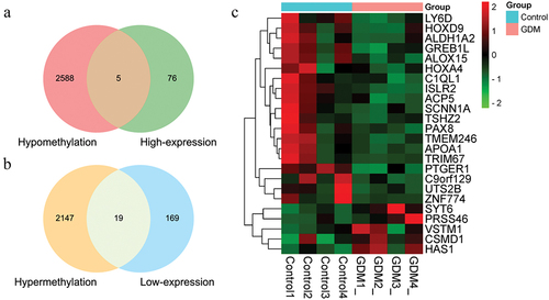 Figure 3. The Venn graph integrated RRBS and RNA-Seq results showing the whole number of aberrantly methylated-differentially expressed genes overlapped including five up-regulated genes (a) and nineteen down-regulated genes (b). (c) A total of 24 screened genes were shown in heatmap according to the expression levels between four GDM samples and four healthy controls, which were also signed in Figure 1 identifying their location in chromosomes.