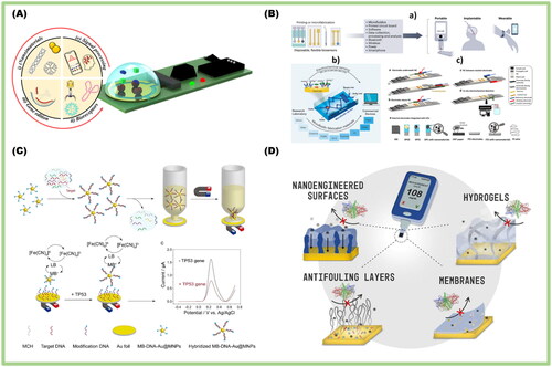 Figure 4. (A) Explores the dynamic world of modern electrochemical affinity biosensors. The landscape is adorned with innovative manufacturing and technology for (i) (nano)materials, offering many possibilities. (ii) Bio(nano)materials synthesis and nature-inspired receptor design elevate biomolecular interactions to an art form. (iii) Gene editing and amplification technologies shape the future of precision medicine at the frontier. (iv) Signal detection and processing techniques orchestrate a symphony of discovery [Citation85]. (B) Electrochemical biosensors blend into our daily lives, effortlessly integrating with portable, wearable, and implantable devices. A seamless integration of technology and lifestyle. The delicate dance of electrochemical procedures and the alchemy of microfluidic fabrication materials reveal the magic behind the production of microfluidic electrochemical devices. Illustrated graphic showcasing the exploration of knowledge regarding the incorporation of electrodes into lateral flow strips (LFS) and the evolution of electrochemical lateral flow assays (eLFAs) [Citation86–88]. (C) Schematic depicting the captivating journey of discovery, featuring the "dispersible electrode" as the central protagonist in the exploration of the TP53 gene mutation coursing through the bloodstream [Citation89]. (D) Strengthening comprehension in the realm of electrochemical biosensing. Antifouling techniques act as guardians, safeguarding signal purity amidst interference challenges—figures serving as a shield against distorting elements, preserving our scientific gaze [Citation90].