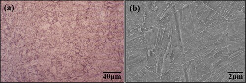 Figure 1. Microstructure of the as-received substrate: (a) optical micrograph, (b) SEM micrograph.