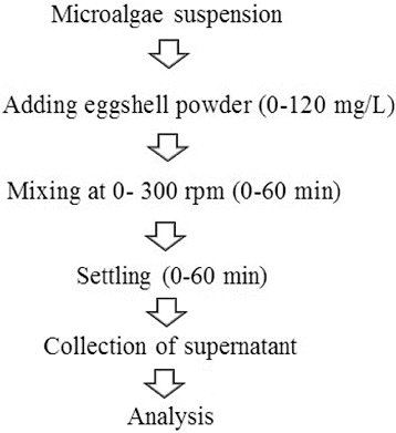 Figure 1. Procedure for C. vulgaris flocculation by eggshells.