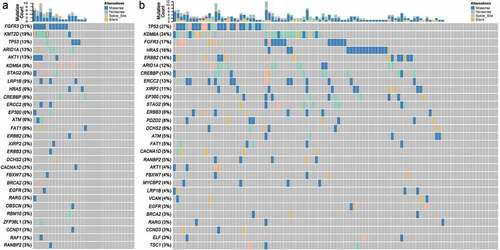 Figure 1. The genomic landscape of bladder cancer. (a) Targeted NGS analysis of the mutated genes in 32 bladder cancer samples. (b) ICGC data showing the mutated genes in 103 bladder cancer samples of Chinese Han population.